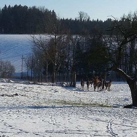 Pension Weinbauer Hofkirchen im Traunkreis Екстериор снимка