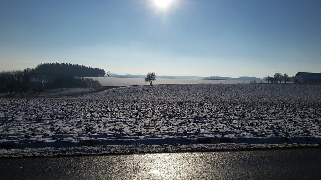 Pension Weinbauer Hofkirchen im Traunkreis Екстериор снимка
